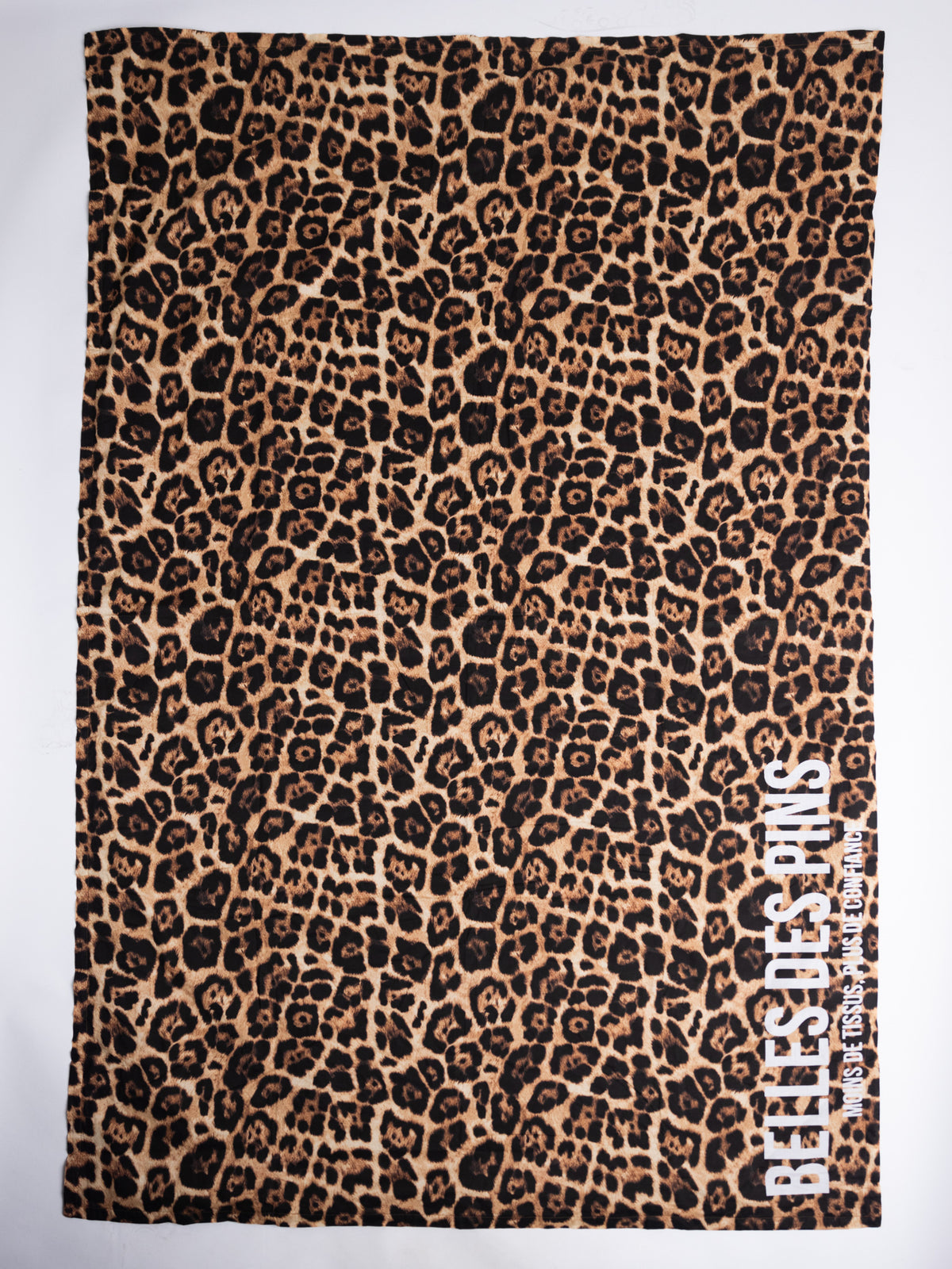 Serviette de plage à séchage rapide Gecko Lézards Serviette de plage en microfibre à séchage rapide