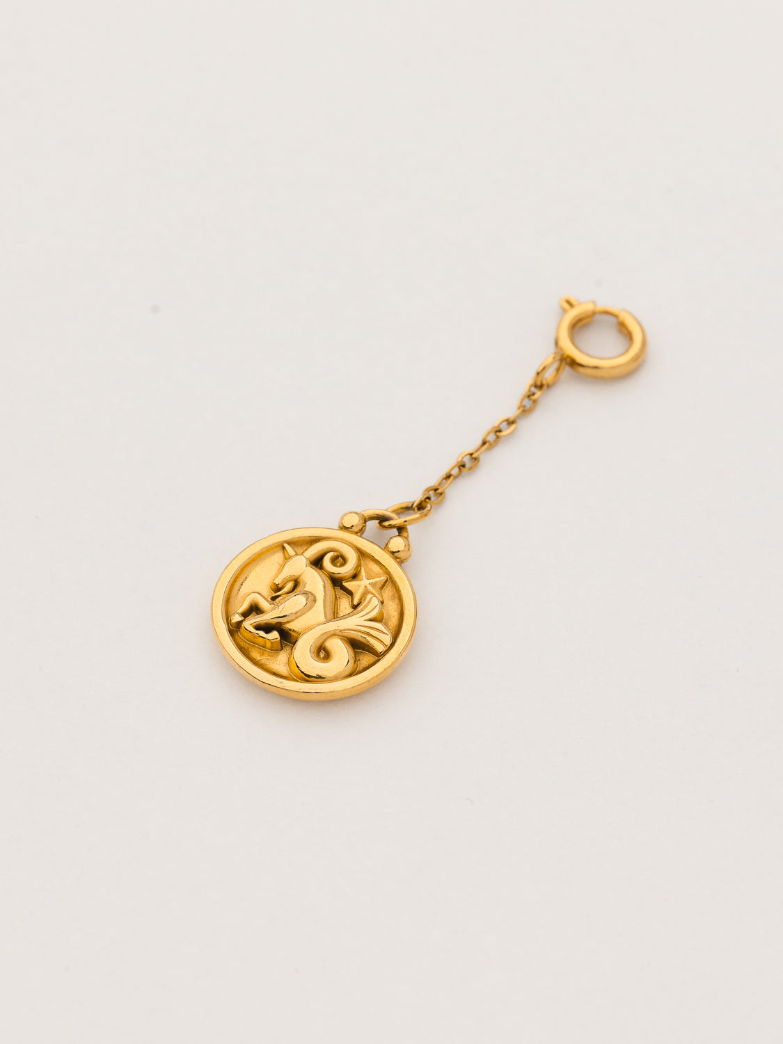 Pendentif astro CAPRICORNE