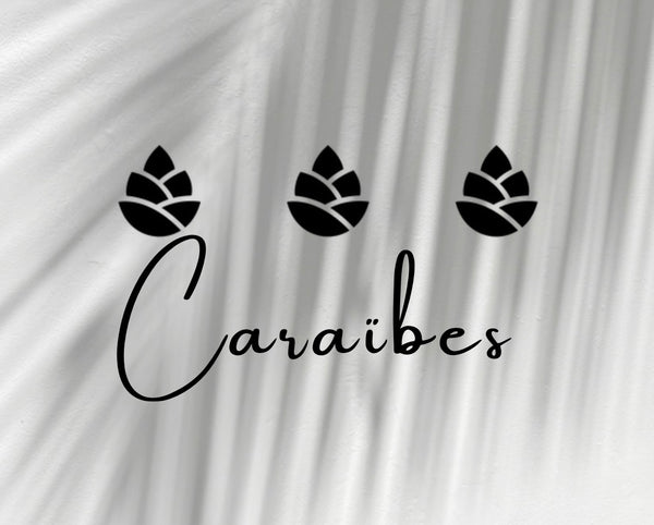 Fond blanc avec des ombres de palmier, inscription du mot caraibes en gros, logo de la marque Belles Des Pins 